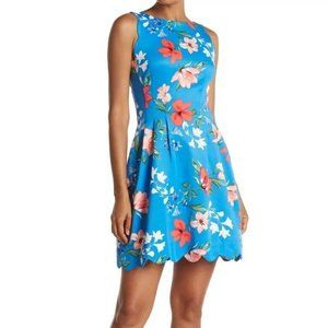 VINCE CAMUTO Scuba Fit Scalloped Fit & Flare Dress - Size 8